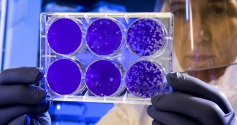 The Absorption of Uncertainty and Exiting from the Pandemic