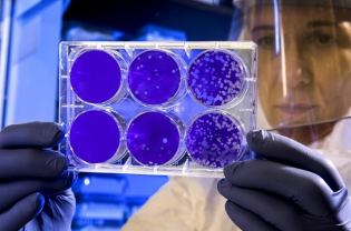 The Absorption of Uncertainty and Exiting from the Pandemic