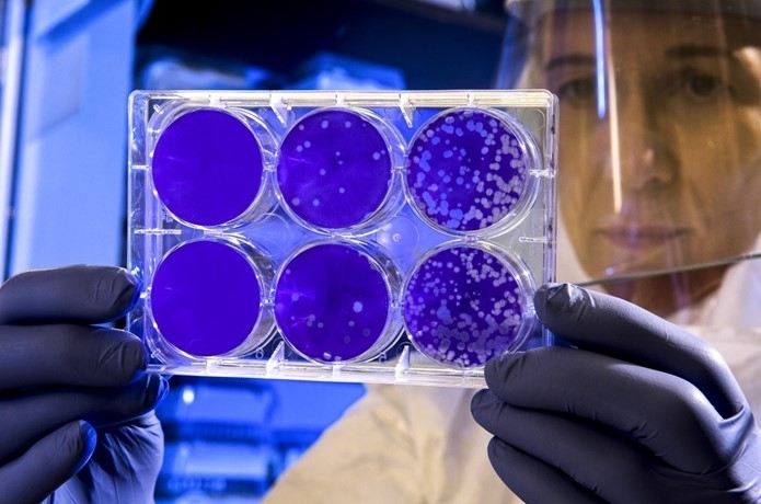 The Absorption of Uncertainty and Exiting from the Pandemic